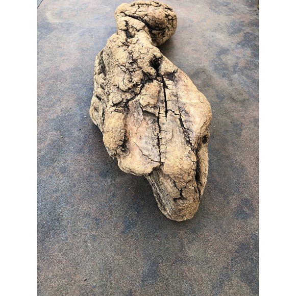 Natural Driftwood for Plants Terrarium Taxidermy Art Projects - Picture 4 of 6